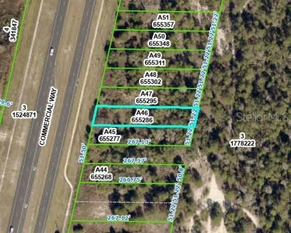 Picture of Residential Land For Sale in Weeki Wachee, Florida, United States