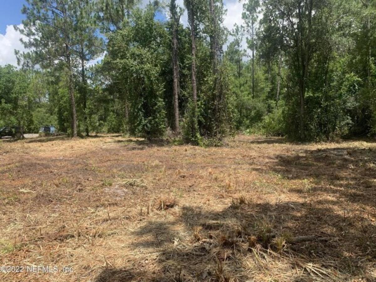 Picture of Residential Land For Sale in Palatka, Florida, United States