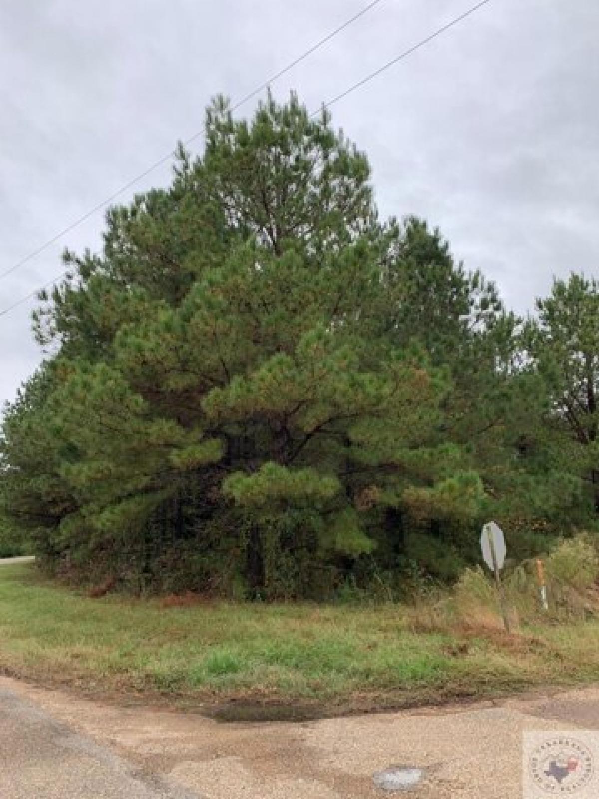 Picture of Home For Sale in Fouke, Arkansas, United States