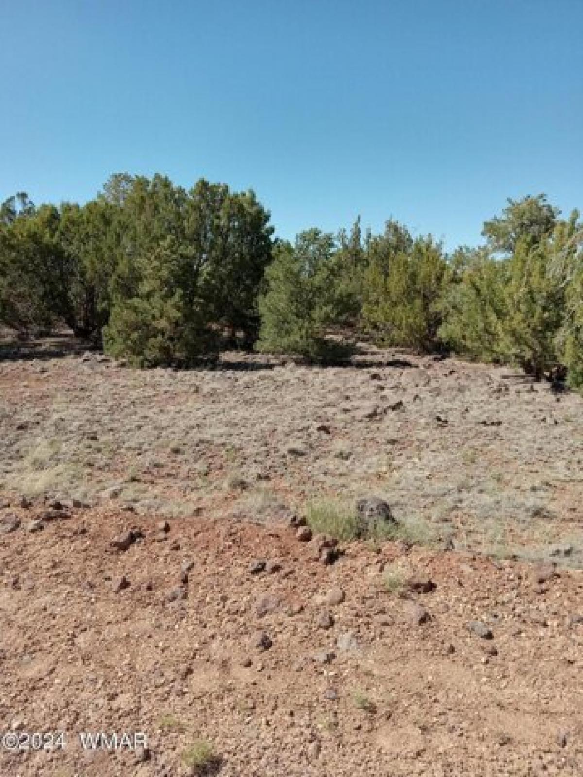 Picture of Residential Land For Sale in Concho, Arizona, United States