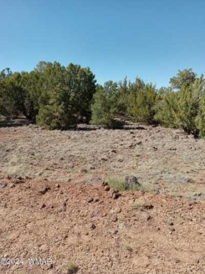 Residential Land For Sale in Concho, Arizona