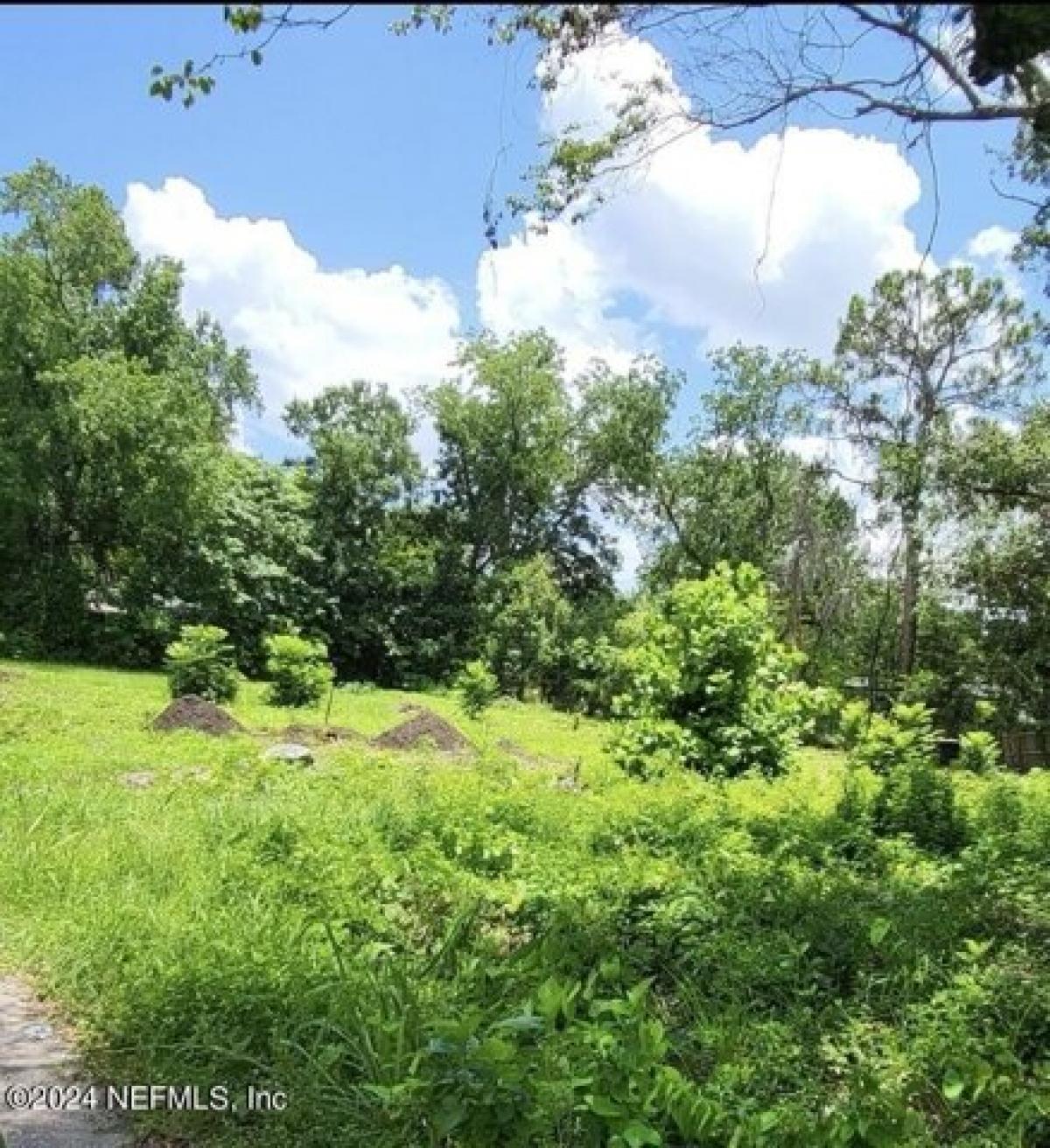 Picture of Residential Land For Sale in Jacksonville, Florida, United States