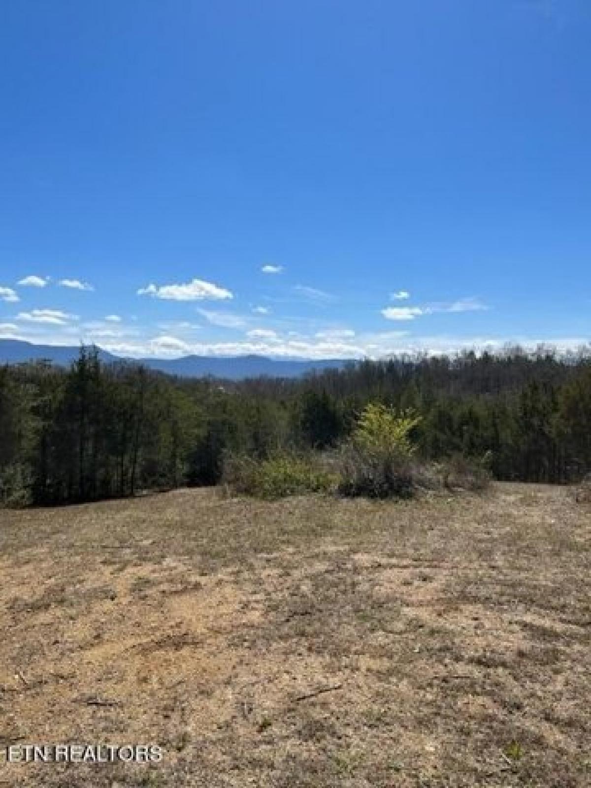 Picture of Residential Land For Sale in Dandridge, Tennessee, United States