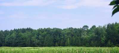 Residential Land For Sale in Dover Foxcroft, Maine