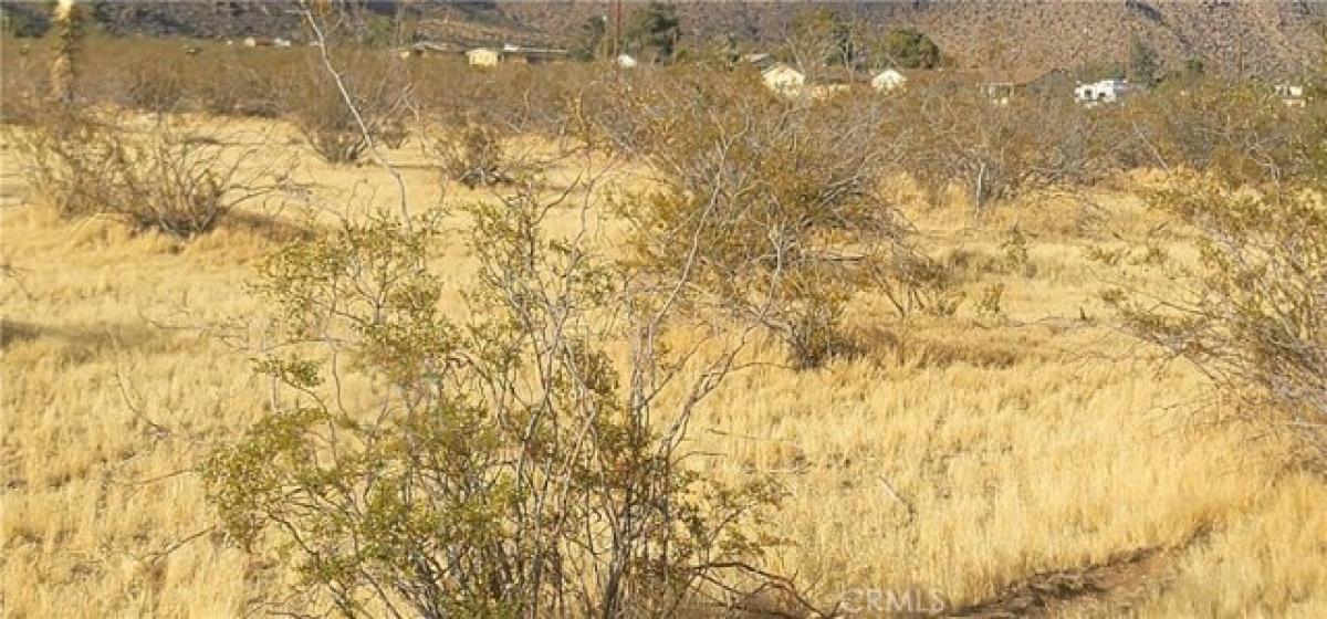 Picture of Residential Land For Sale in Apple Valley, California, United States