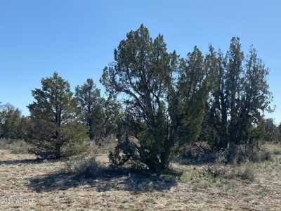 Residential Land For Sale in Williams, Arizona