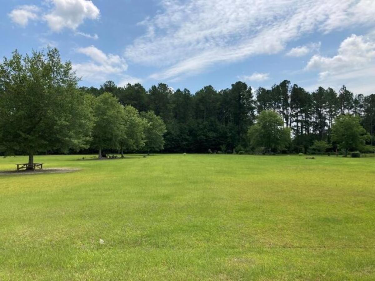 Picture of Residential Land For Sale in Nicholls, Georgia, United States
