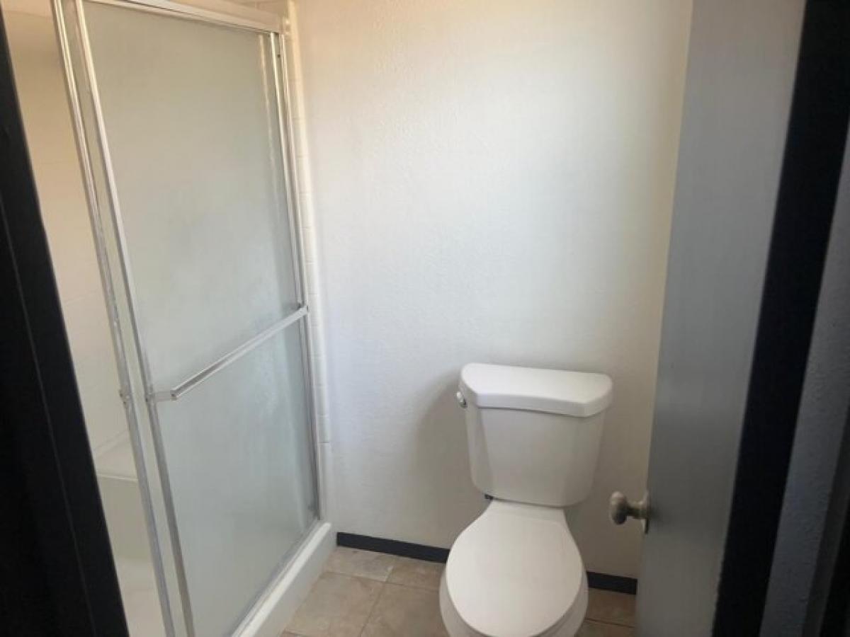 Picture of Home For Rent in Albuquerque, New Mexico, United States