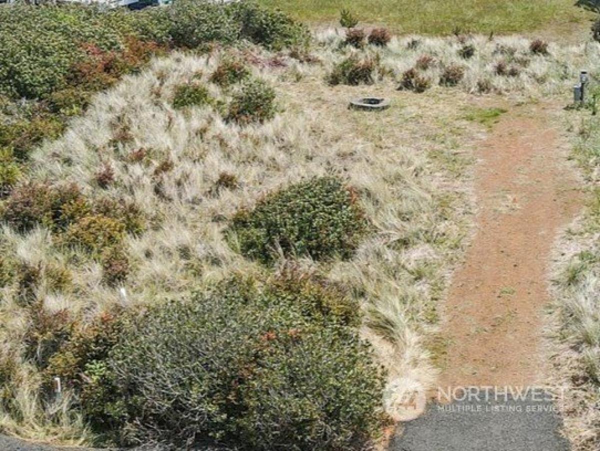 Picture of Residential Land For Sale in Ocean Shores, Washington, United States