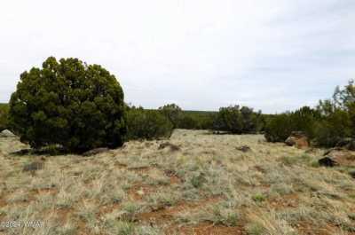 Residential Land For Rent in Concho, Arizona