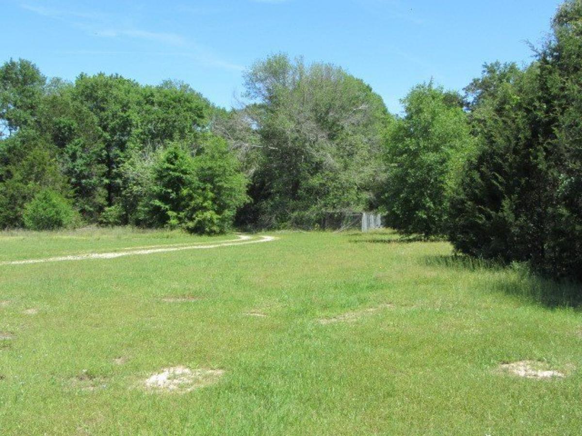 Picture of Residential Land For Sale in Huntsville, Texas, United States