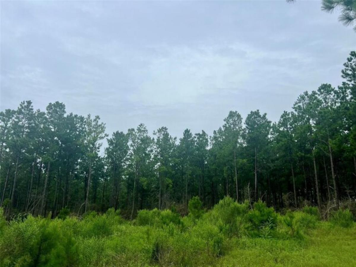 Picture of Residential Land For Sale in Livingston, Texas, United States