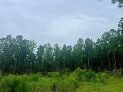Residential Land For Sale in Livingston, Texas