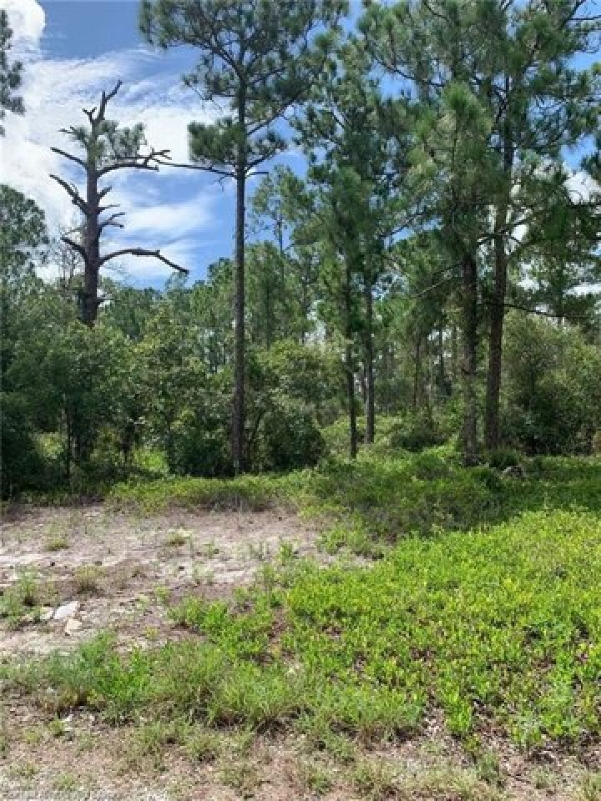 Picture of Residential Land For Sale in Lake Placid, Florida, United States