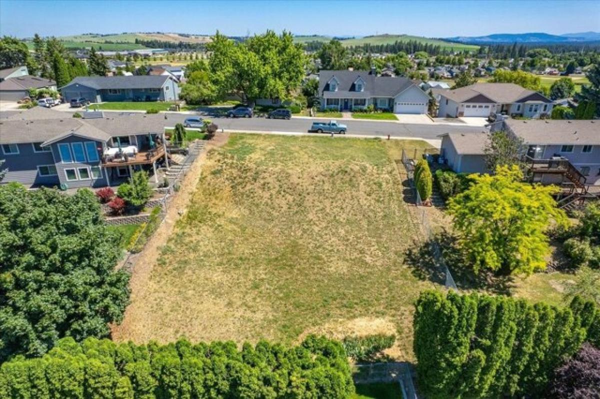 Picture of Residential Land For Sale in Cheney, Washington, United States