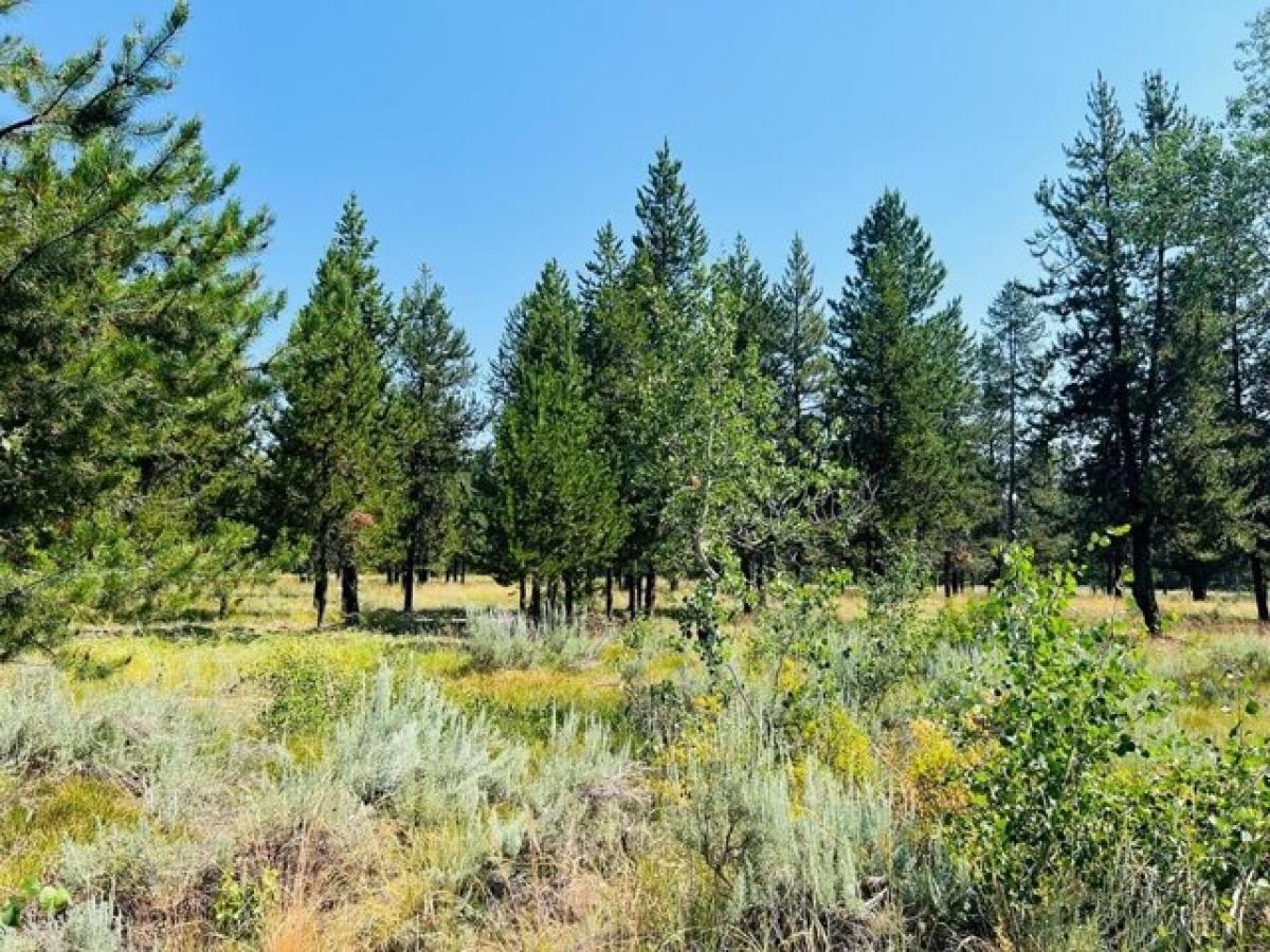 Picture of Residential Land For Sale in McCall, Idaho, United States