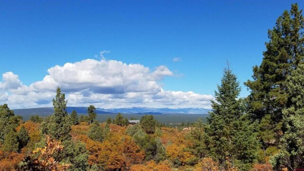 Picture of Residential Land For Sale in Pagosa Springs, Colorado, United States