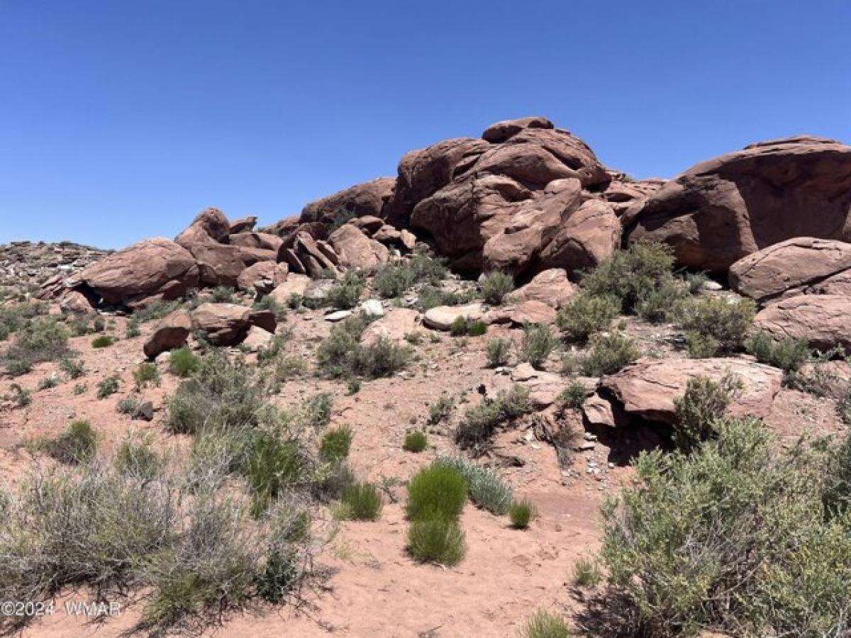 Picture of Residential Land For Sale in , Arizona, United States