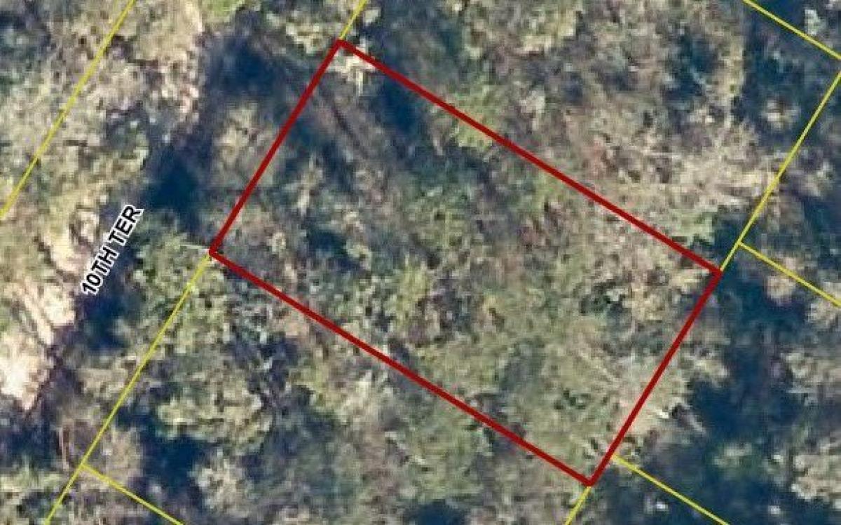 Picture of Residential Land For Rent in Live Oak, Florida, United States