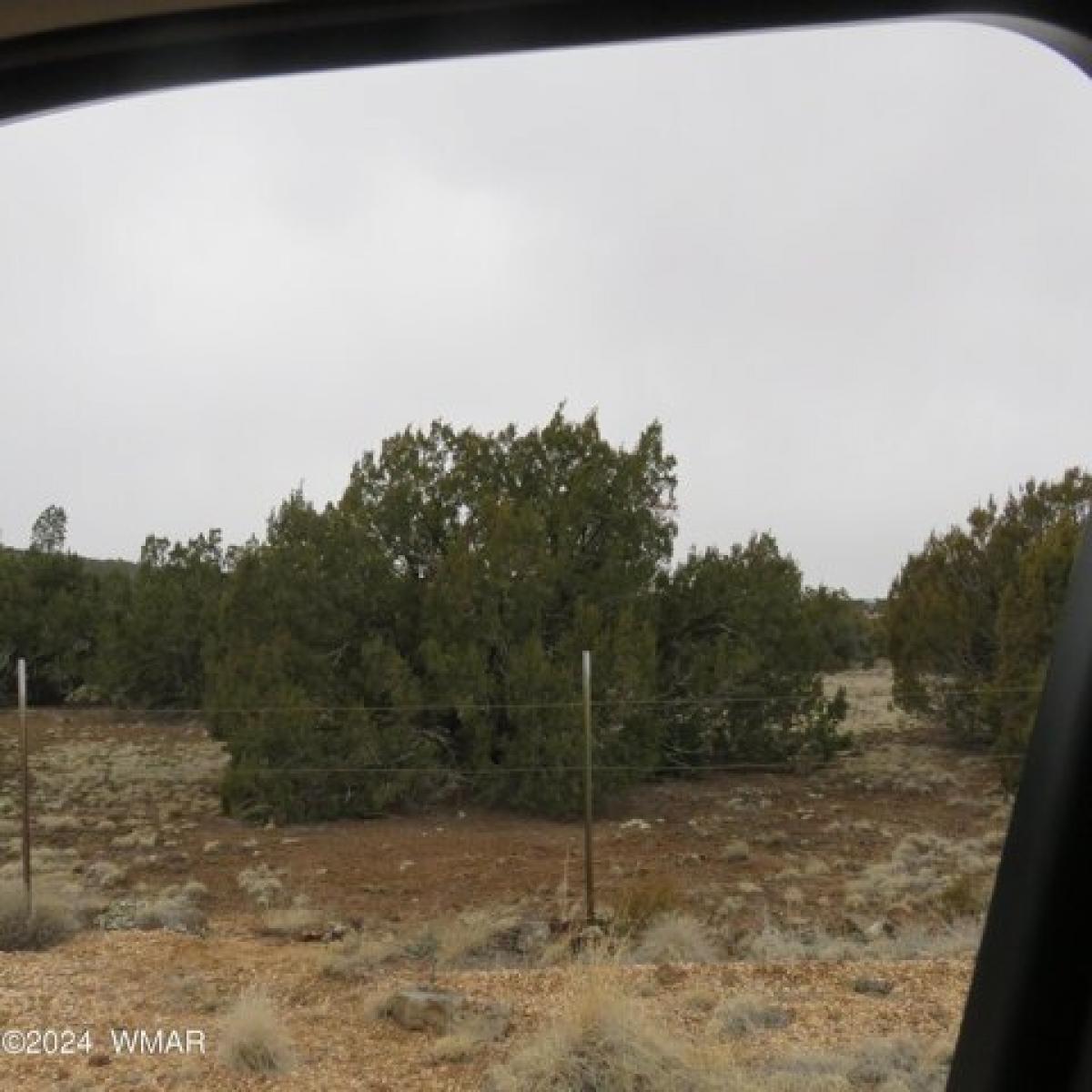 Picture of Residential Land For Sale in Concho, Arizona, United States