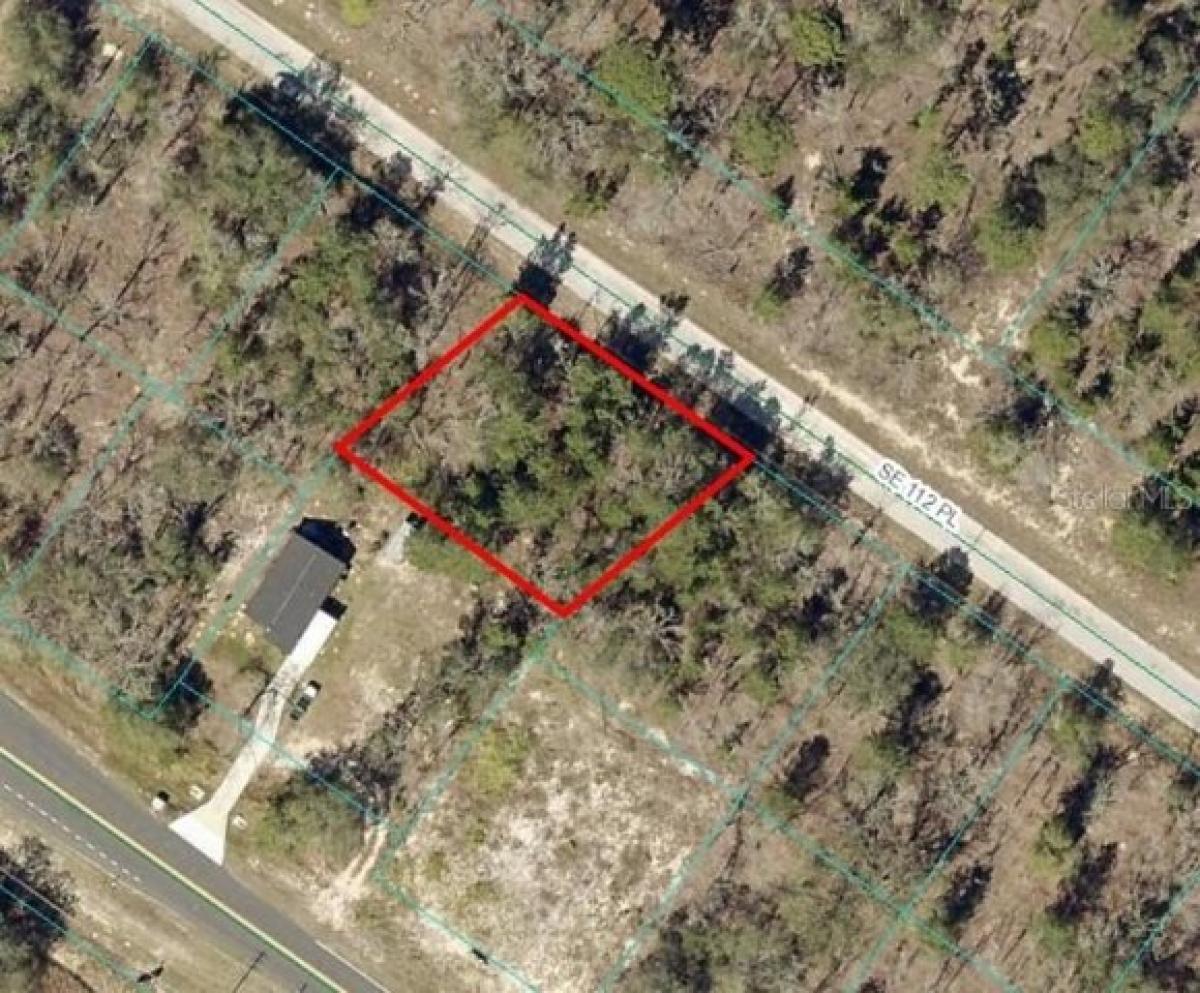 Picture of Residential Land For Sale in Ocklawaha, Florida, United States