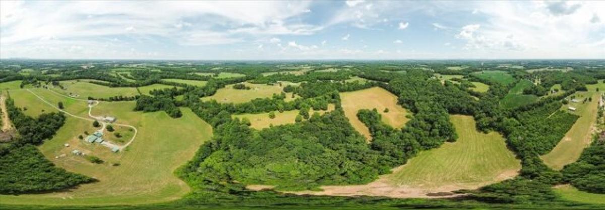 Picture of Residential Land For Sale in Smithville, Tennessee, United States