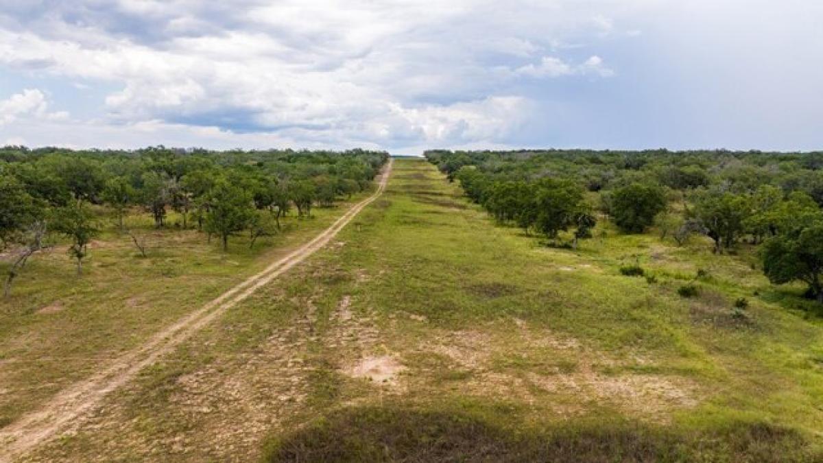 Picture of Residential Land For Sale in Fredericksburg, Texas, United States