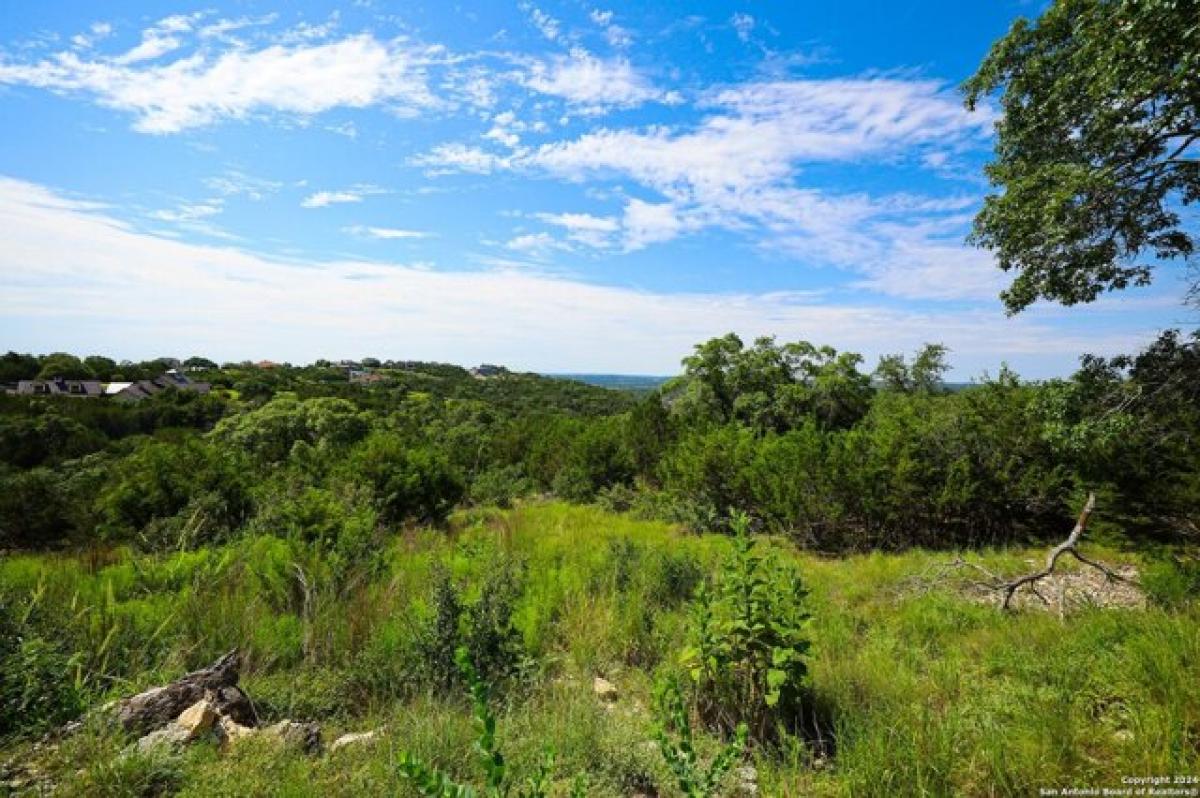 Picture of Residential Land For Sale in Spring Branch, Texas, United States
