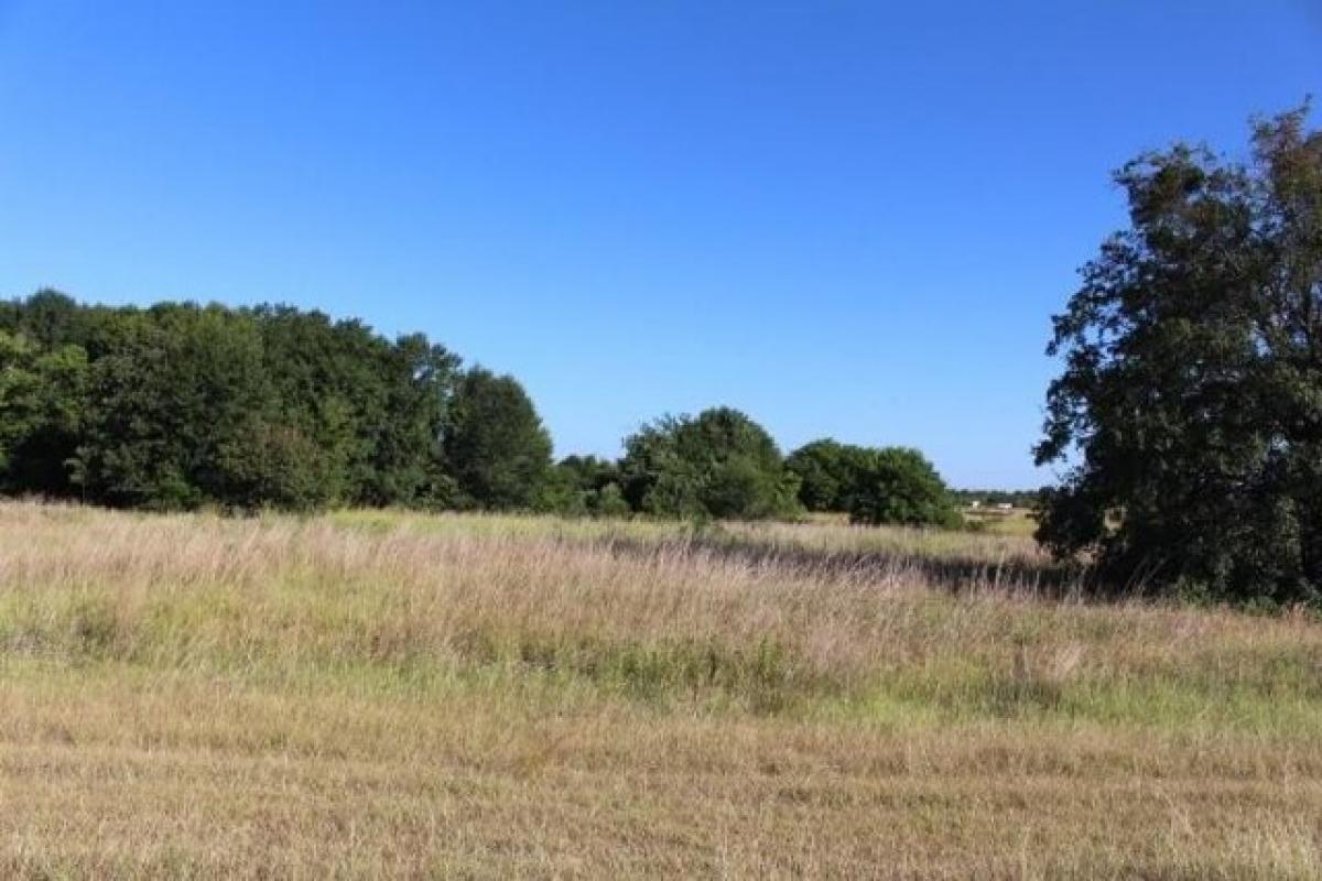 Picture of Residential Land For Sale in Mabank, Texas, United States