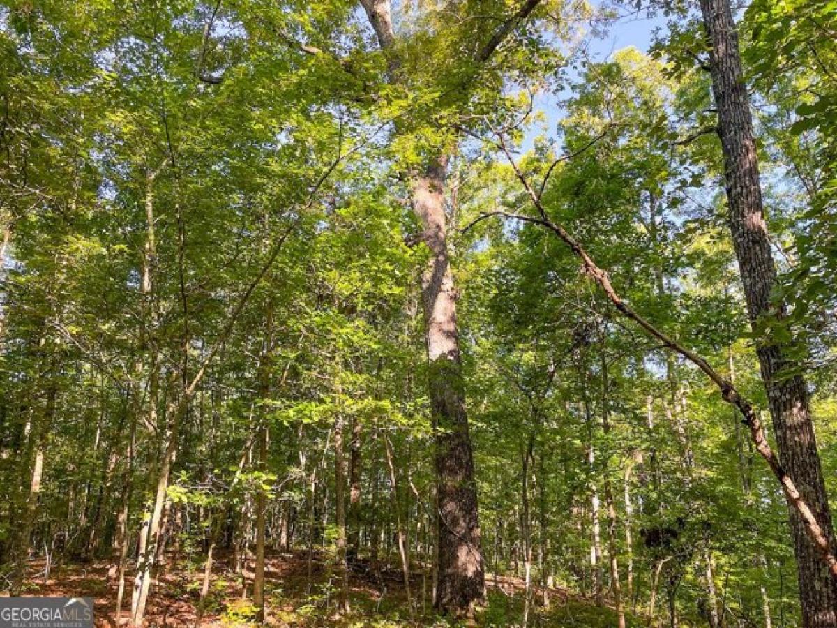 Picture of Residential Land For Sale in Buchanan, Georgia, United States