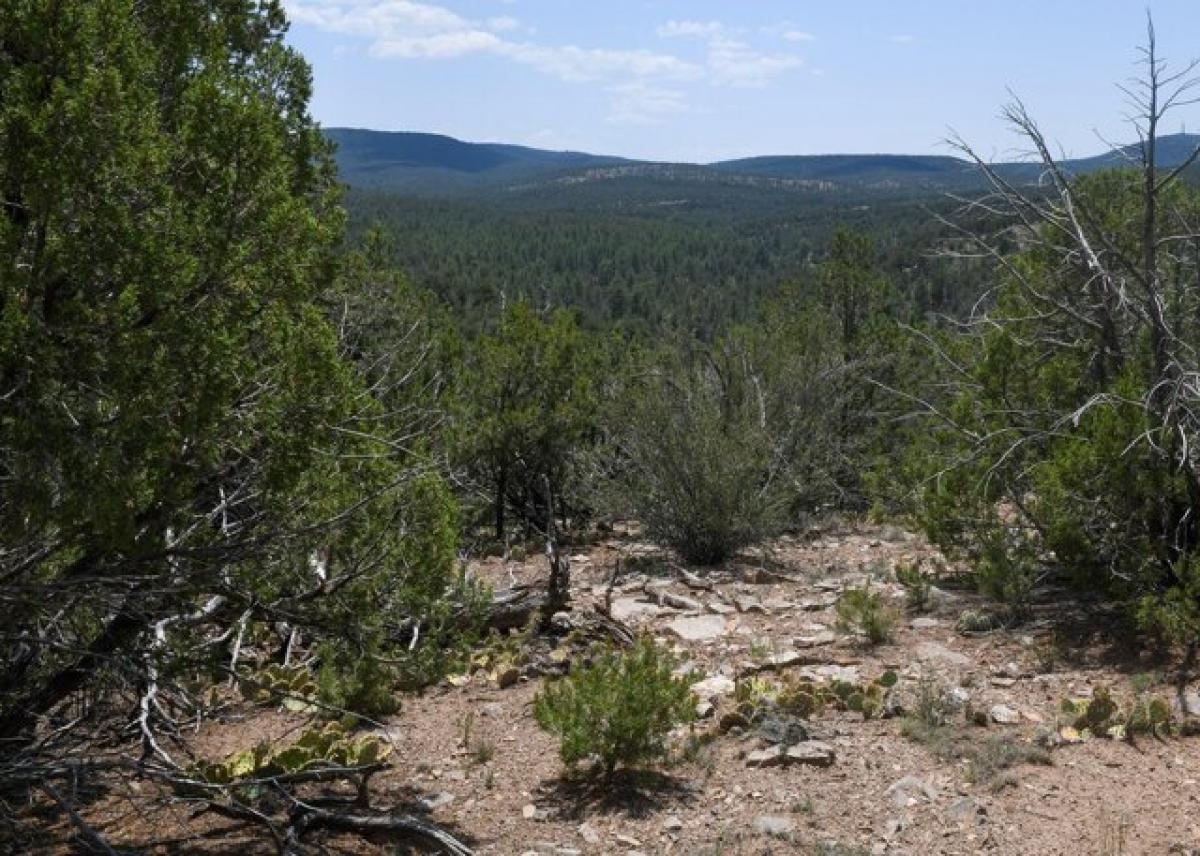 Picture of Residential Land For Sale in Tijeras, New Mexico, United States