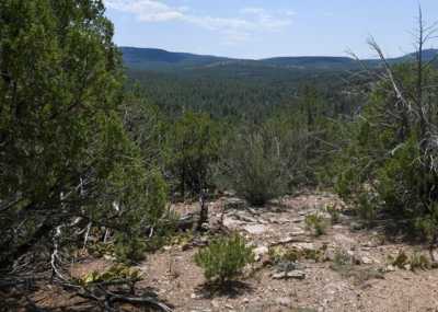 Residential Land For Sale in Tijeras, New Mexico