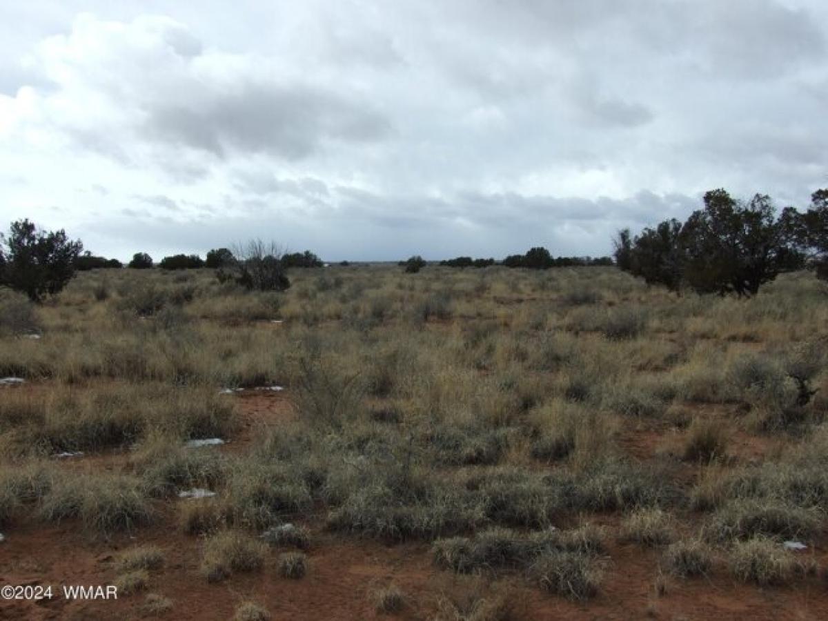 Picture of Residential Land For Sale in Snowflake, Arizona, United States