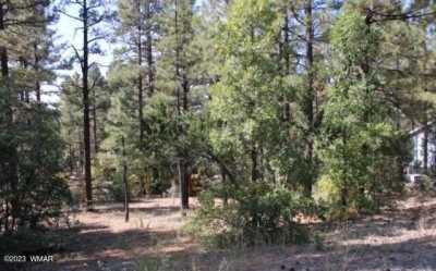Residential Land For Sale in Show Low, Arizona