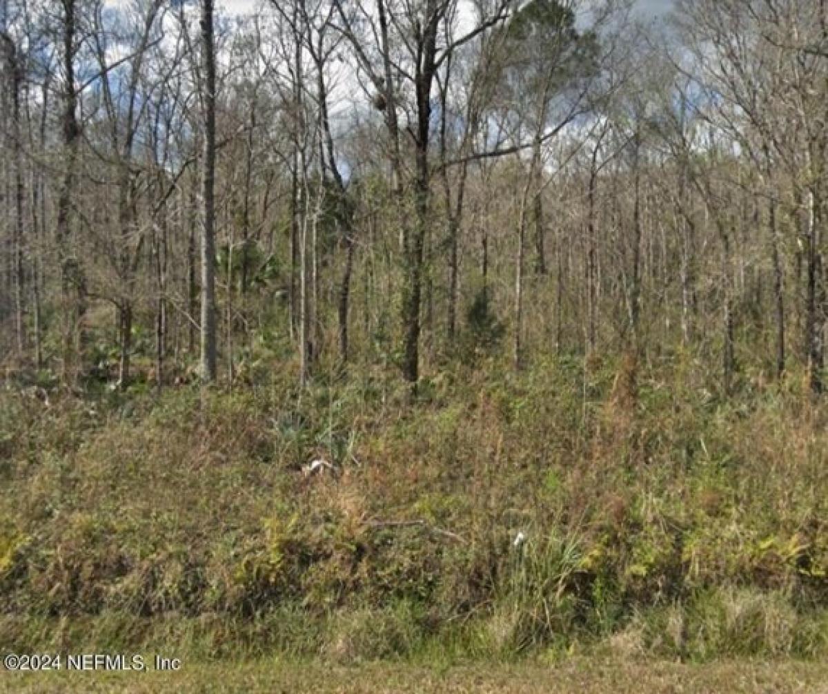 Picture of Residential Land For Sale in Hastings, Florida, United States