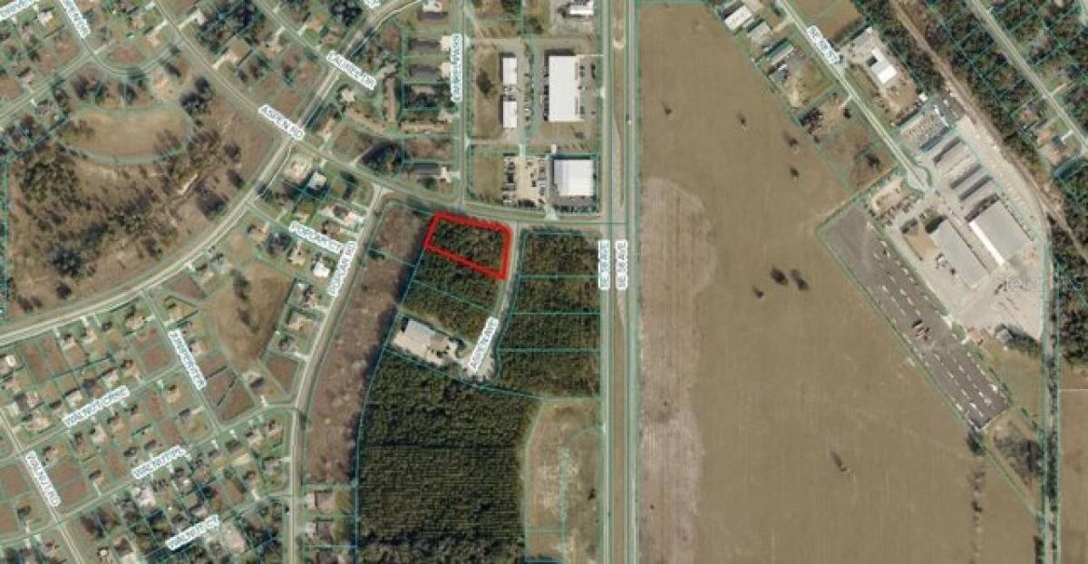 Picture of Residential Land For Sale in Ocala, Florida, United States