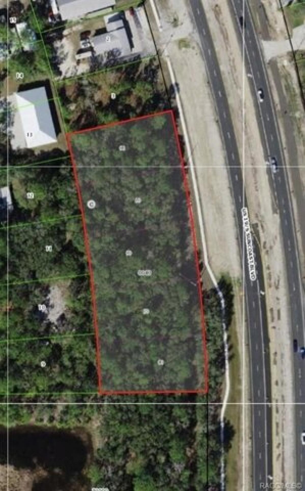 Picture of Residential Land For Sale in Homosassa, Florida, United States