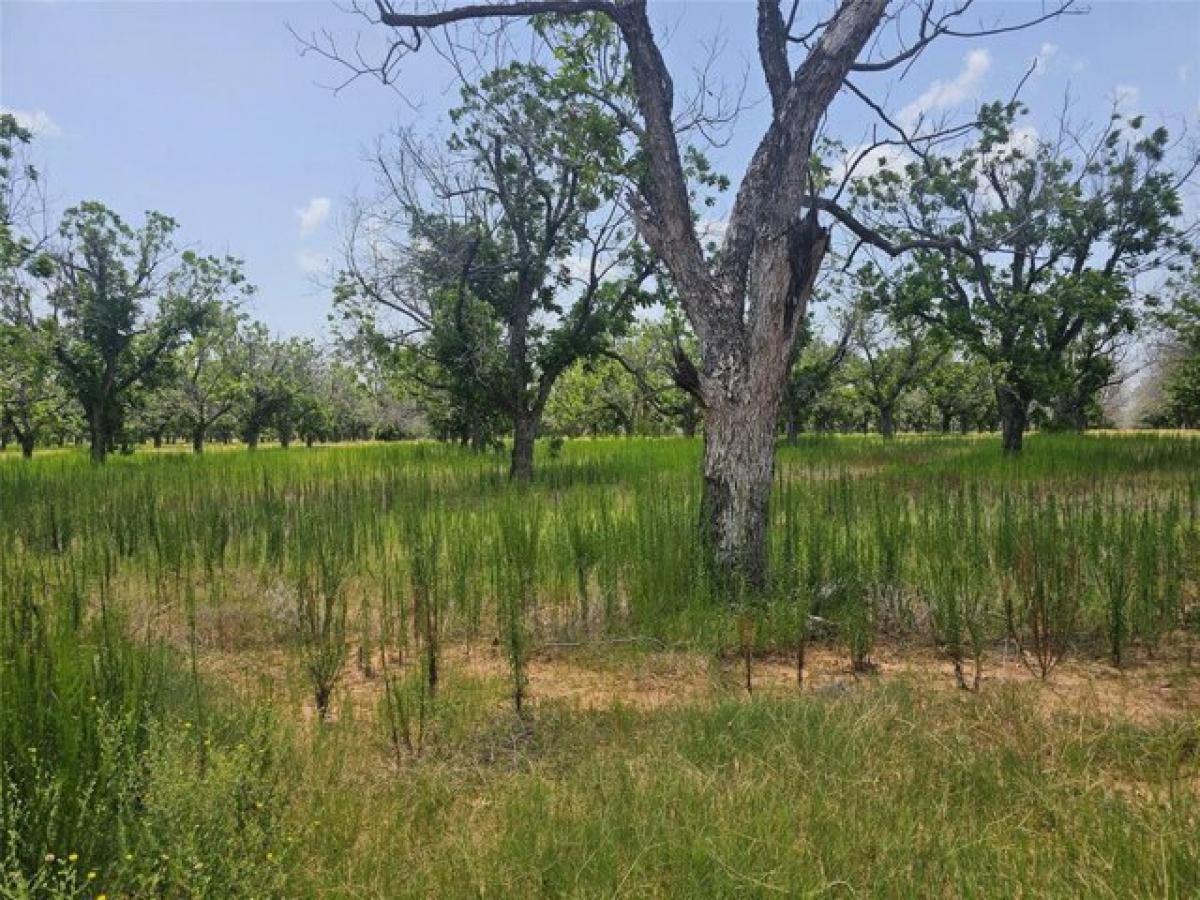 Picture of Residential Land For Sale in Granbury, Texas, United States