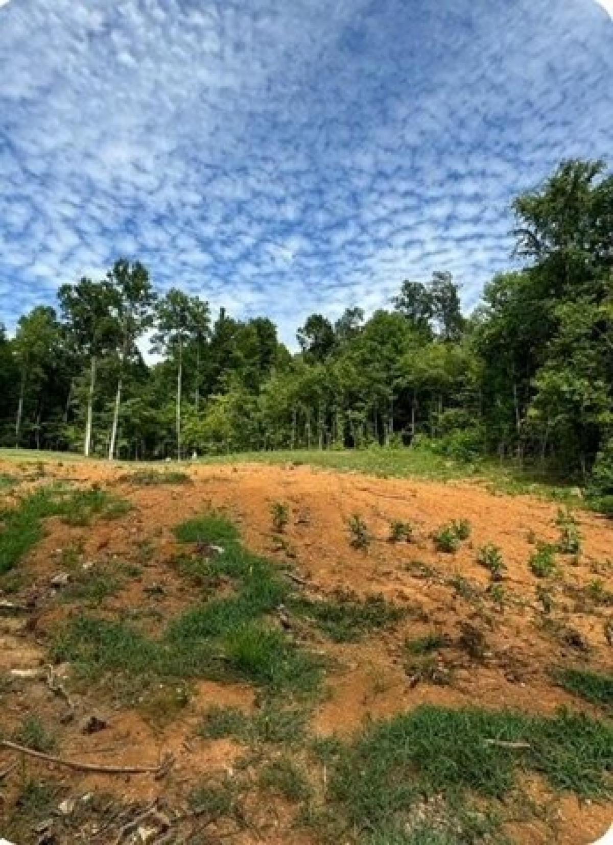 Picture of Residential Land For Sale in Decatur, Tennessee, United States