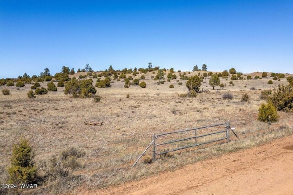 Picture of Residential Land For Sale in Show Low, Arizona, United States