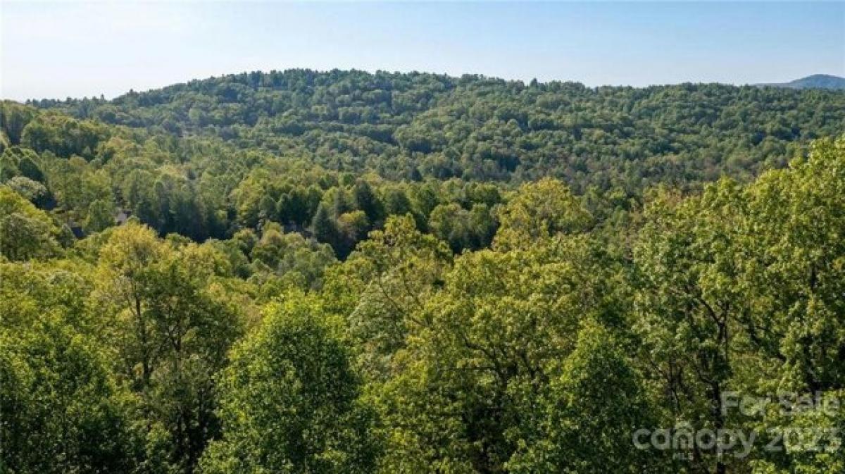 Picture of Residential Land For Sale in Hendersonville, North Carolina, United States