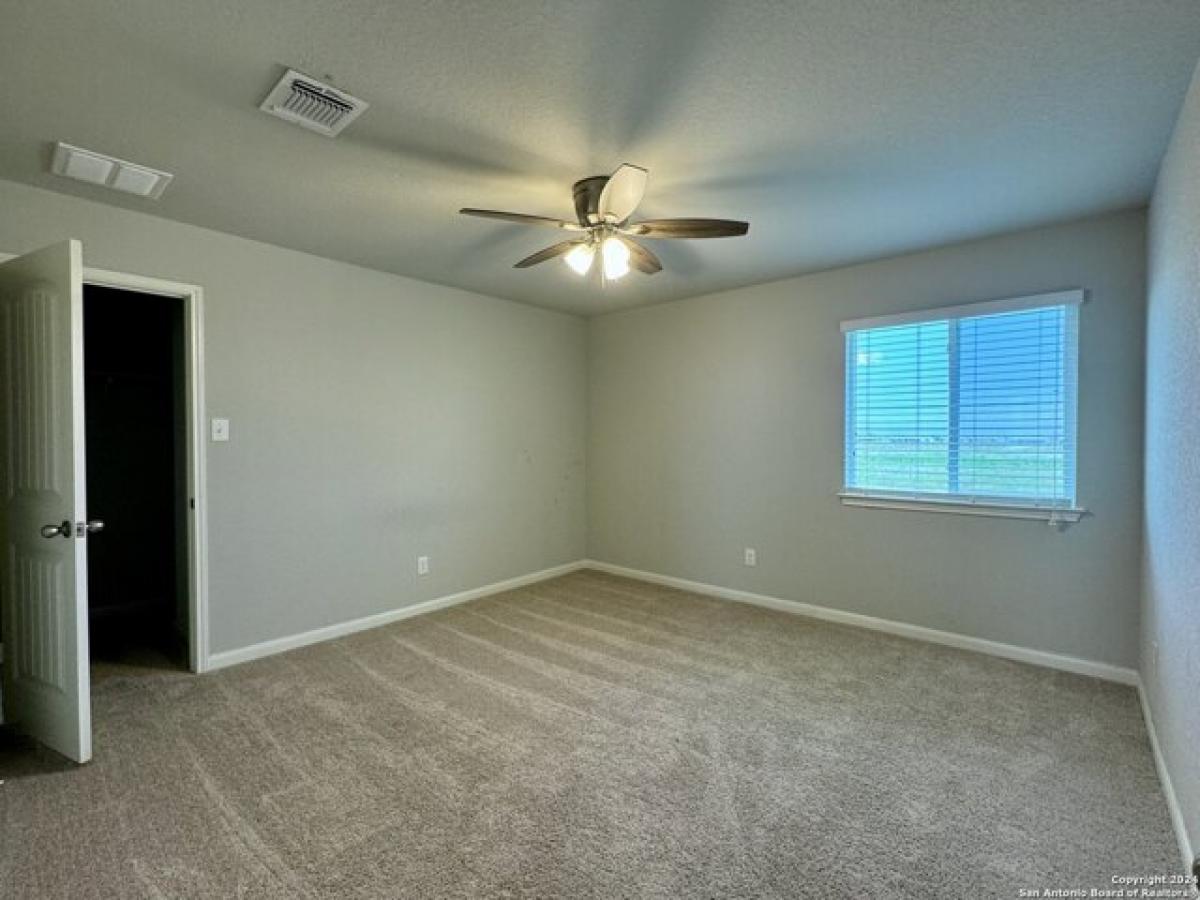 Picture of Home For Rent in New Braunfels, Texas, United States