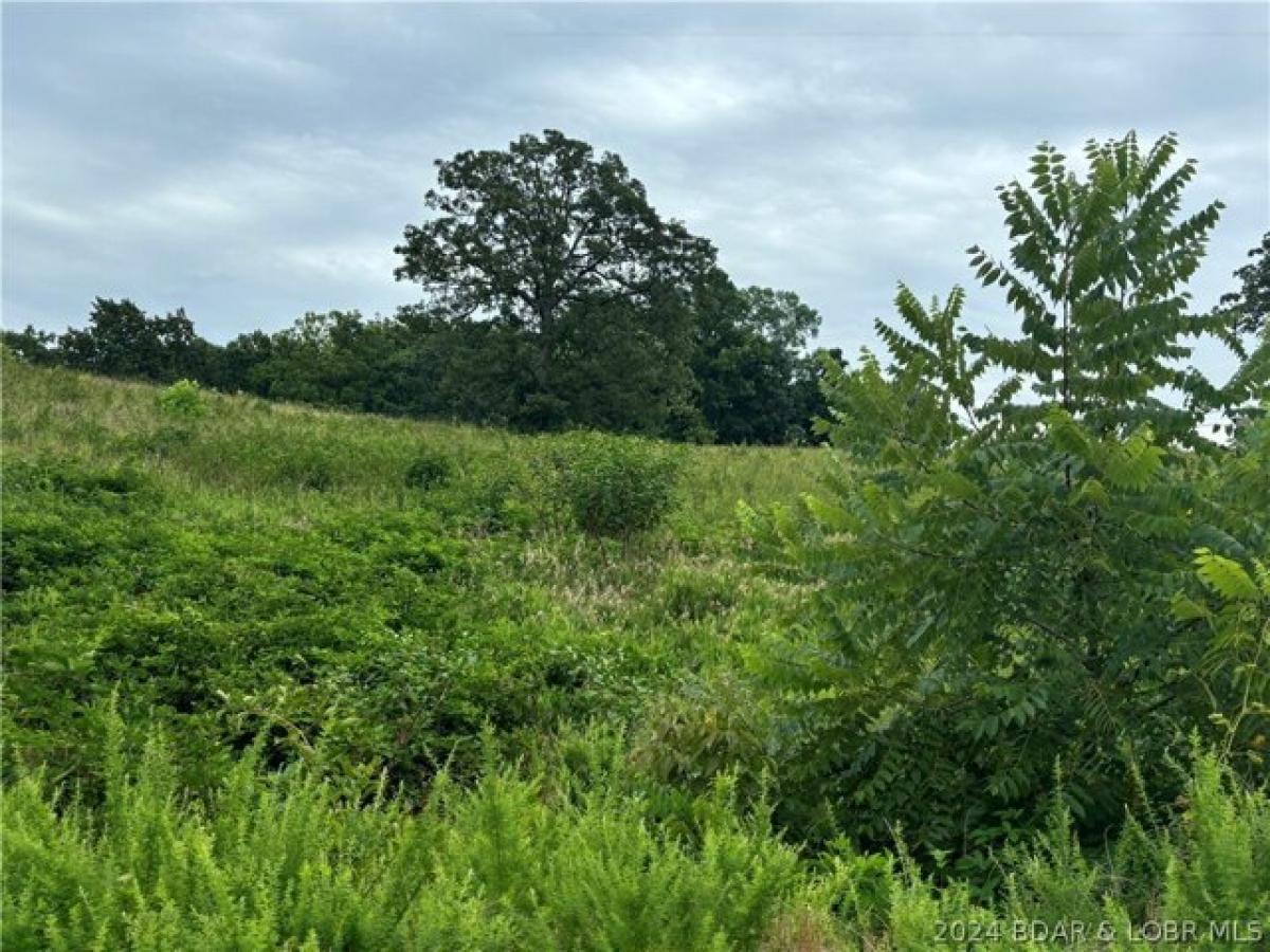Picture of Residential Land For Sale in Osage Beach, Missouri, United States