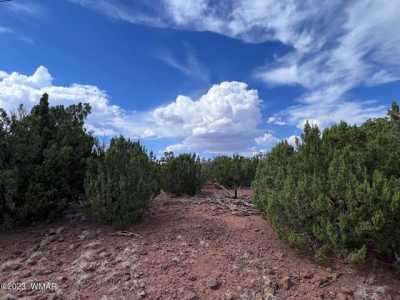 Residential Land For Sale in Concho, Arizona