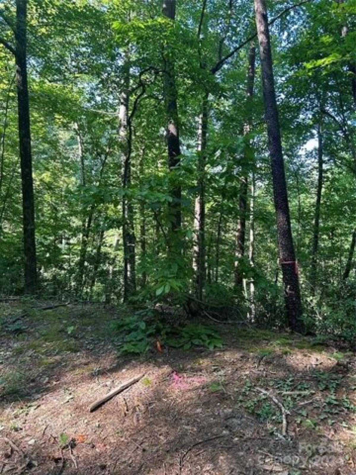 Picture of Residential Land For Sale in Lake Lure, North Carolina, United States