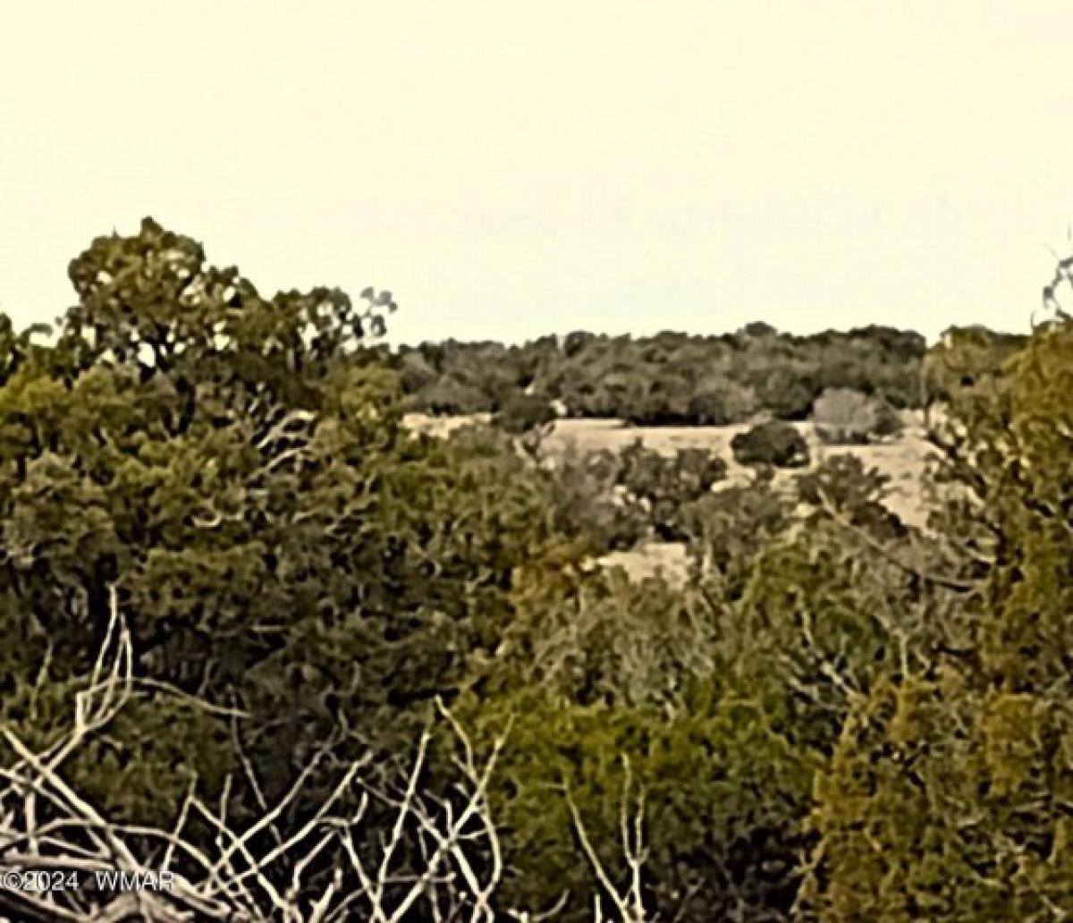 Picture of Residential Land For Sale in Saint Johns, Arizona, United States