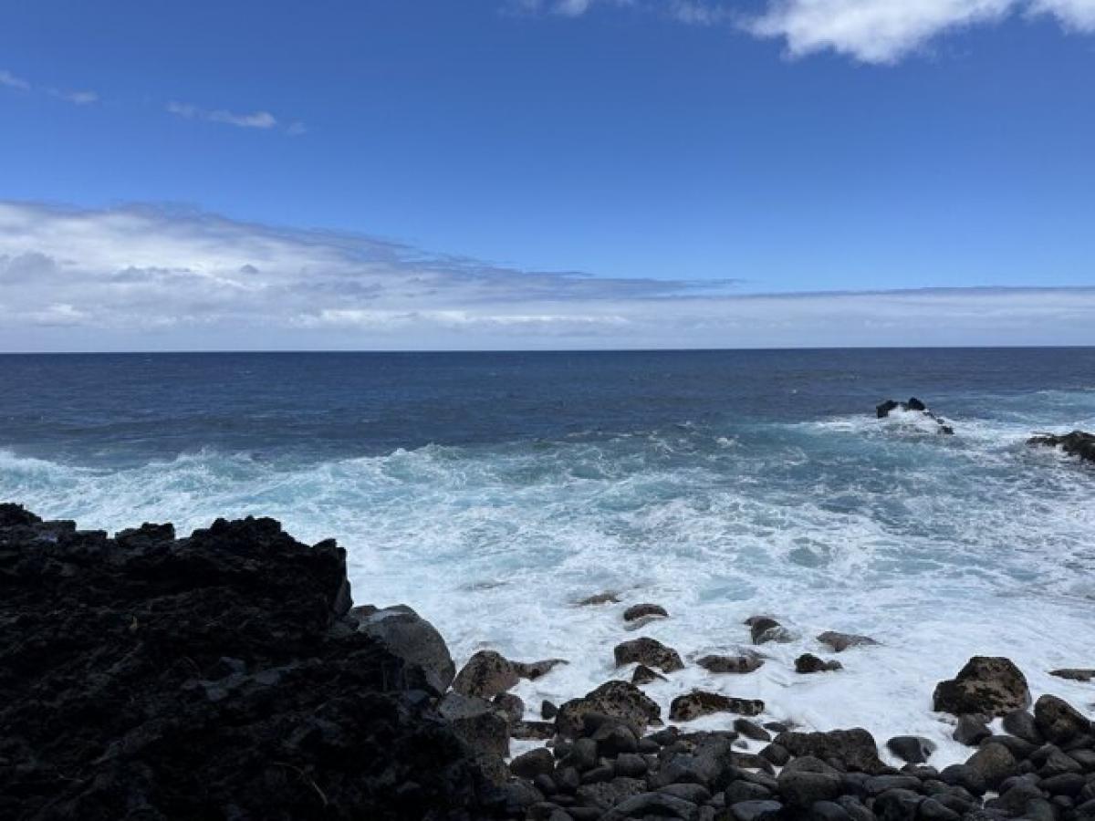 Picture of Residential Land For Sale in Pahoa, Hawaii, United States