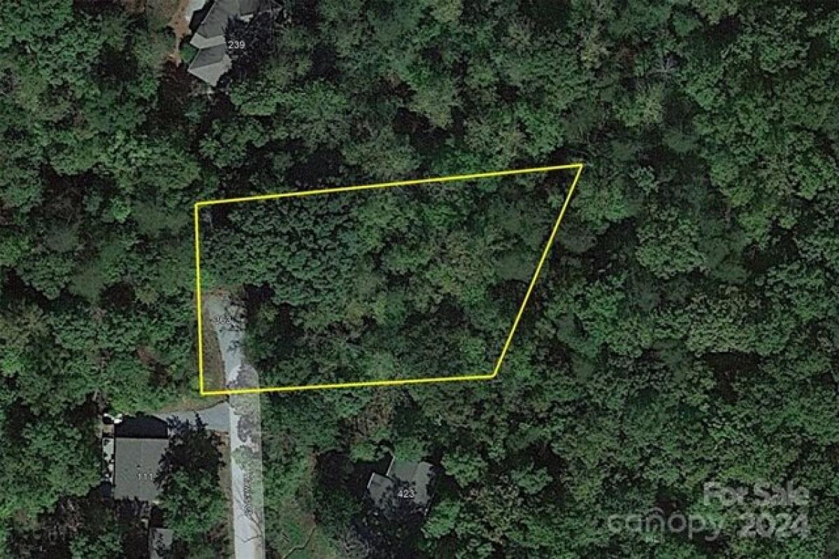 Picture of Residential Land For Rent in Lake Lure, North Carolina, United States