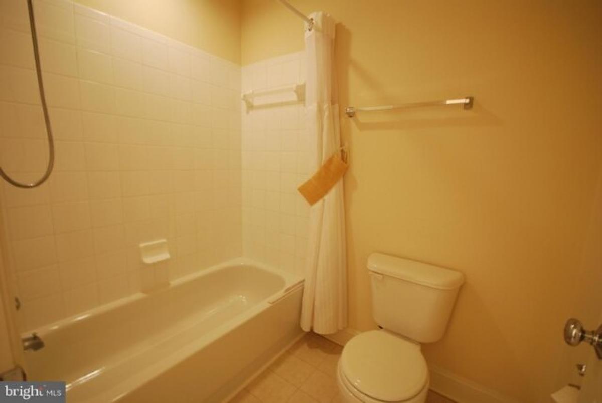 Picture of Home For Rent in Rockville, Maryland, United States