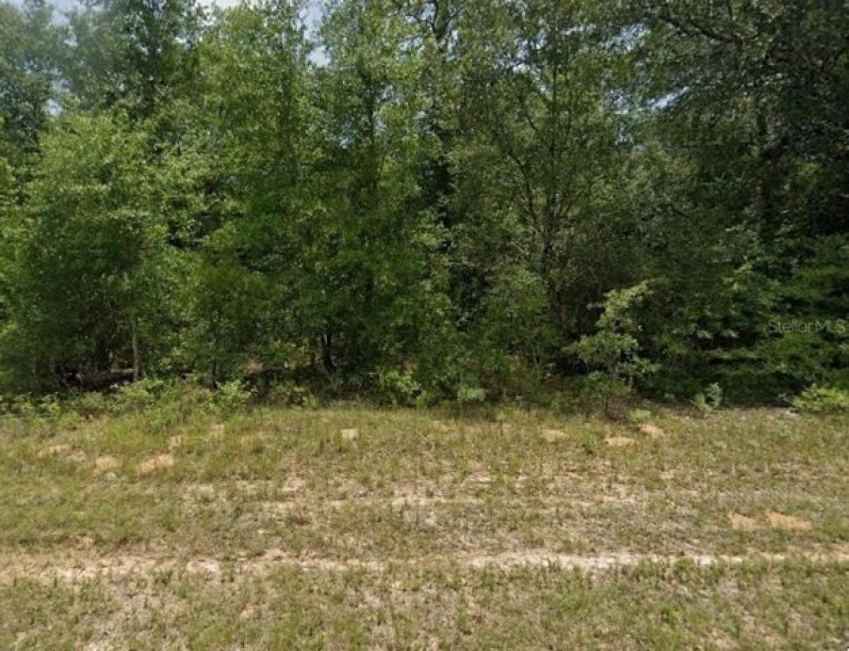 Picture of Residential Land For Sale in Chipley, Florida, United States